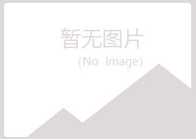 禹城字迹咨询有限公司